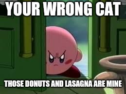 Pissed off Kirby | YOUR WRONG CAT THOSE DONUTS AND LASAGNA ARE MINE | image tagged in pissed off kirby | made w/ Imgflip meme maker