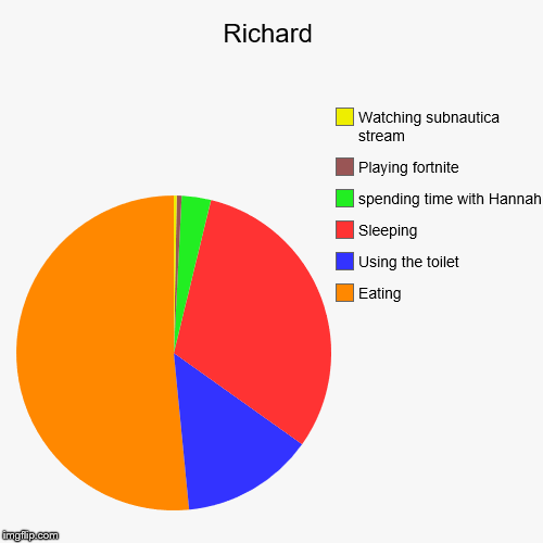 Richard | Eating, Using the toilet, Sleeping, spending time with Hannah, Playing fortnite, Watching subnautica stream | image tagged in funny,pie charts | made w/ Imgflip chart maker