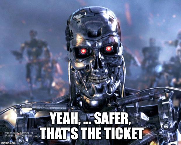 Terminator Robot T-800 | YEAH, ... SAFER, THAT'S THE TICKET | image tagged in terminator robot t-800 | made w/ Imgflip meme maker