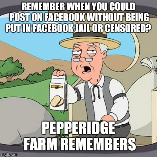 Pepperidge Farm Remembers | REMEMBER WHEN YOU COULD POST ON FACEBOOK WITHOUT BEING PUT IN FACEBOOK JAIL OR CENSORED? PEPPERIDGE FARM REMEMBERS | image tagged in memes,pepperidge farm remembers | made w/ Imgflip meme maker