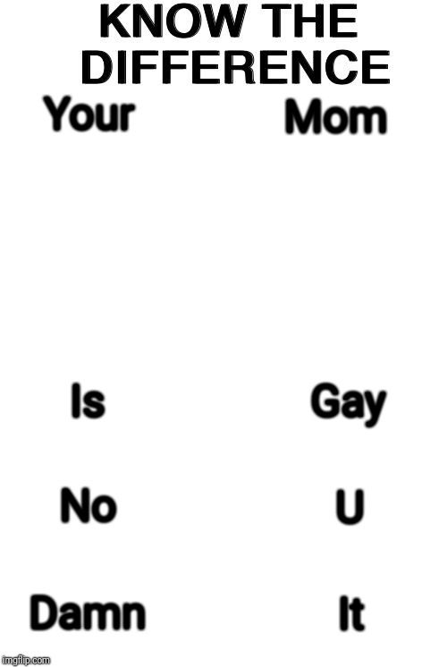 Know The Difference | Mom; Your; Gay; Is; No; U; Damn; It | image tagged in know the difference | made w/ Imgflip meme maker