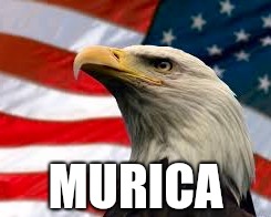 Murica Patriotic Eagle | MURICA | image tagged in murica patriotic eagle | made w/ Imgflip meme maker
