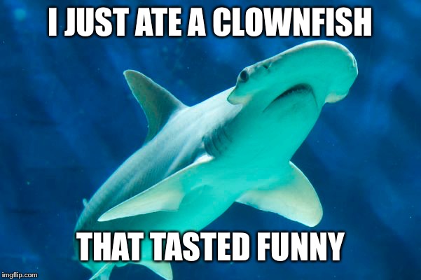 I JUST ATE A CLOWNFISH; THAT TASTED FUNNY | image tagged in shark | made w/ Imgflip meme maker