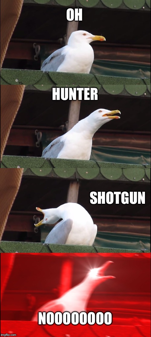 Inhaling Seagull | OH; HUNTER; SHOTGUN; NOOOOOOOO | image tagged in memes,inhaling seagull | made w/ Imgflip meme maker