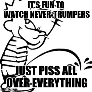 piss on you | IT'S FUN TO WATCH NEVER-TRUMPERS JUST PISS ALL OVER EVERYTHING | image tagged in piss on you | made w/ Imgflip meme maker