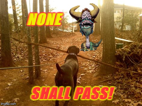 NONE SHALL PASS! | made w/ Imgflip meme maker