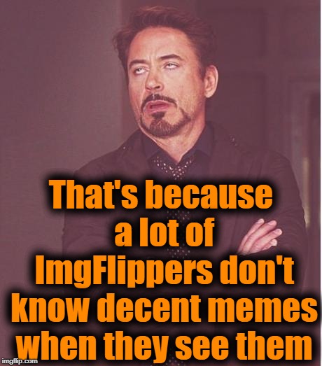 Face You Make Robert Downey Jr Meme | That's because a lot of ImgFlippers don't know decent memes when they see them | image tagged in memes,face you make robert downey jr | made w/ Imgflip meme maker