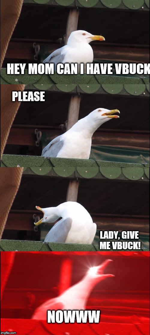 Inhaling Seagull Meme | HEY MOM CAN I HAVE VBUCK; PLEASE; LADY, GIVE ME VBUCK! NOWWW | image tagged in memes,inhaling seagull | made w/ Imgflip meme maker