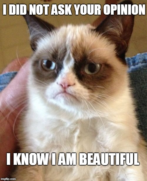 Grumpy Cat | I DID NOT ASK YOUR OPINION; I KNOW I AM BEAUTIFUL | image tagged in memes,grumpy cat | made w/ Imgflip meme maker