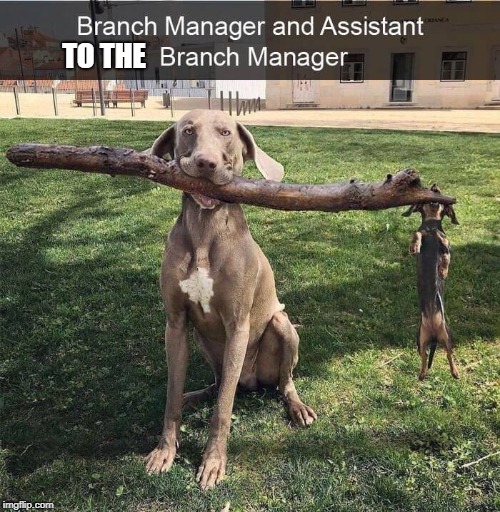 Assistant to the Branch Manager | TO THE | image tagged in the office | made w/ Imgflip meme maker