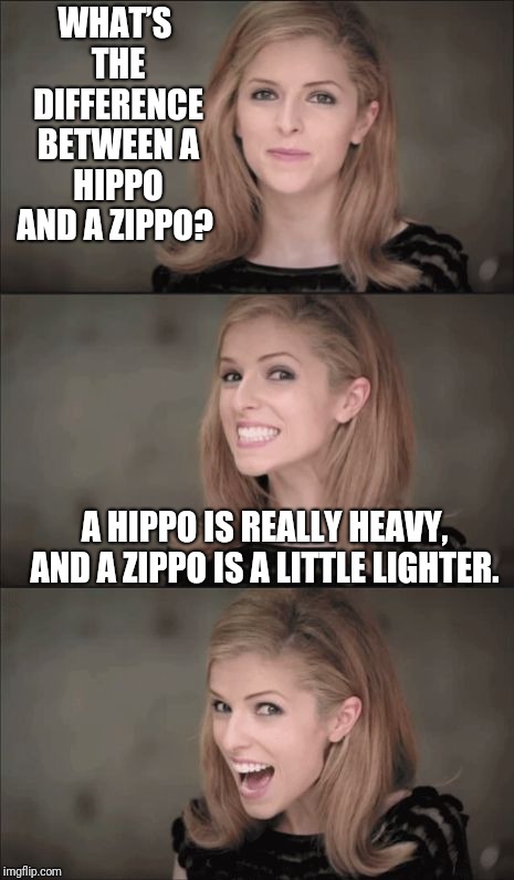 Never Try To Light A Cigarette With A Water Mammal | WHAT’S THE DIFFERENCE BETWEEN A HIPPO AND A ZIPPO? A HIPPO IS REALLY HEAVY, AND A ZIPPO IS A LITTLE LIGHTER. | image tagged in memes,bad pun anna kendrick,hippo | made w/ Imgflip meme maker