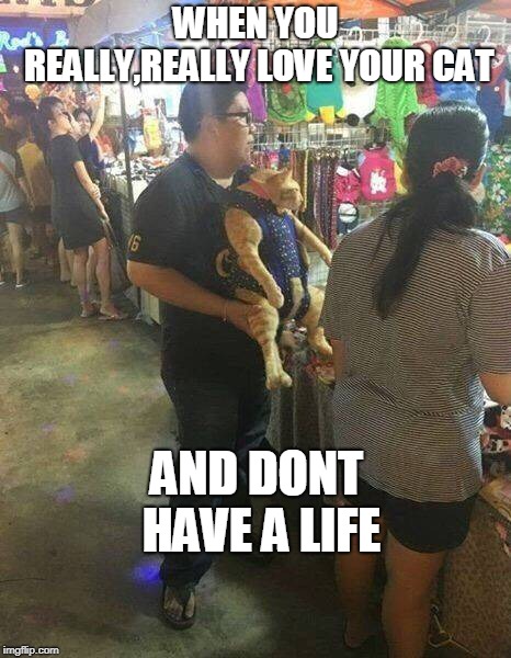 Tip guy- dont go on the roller coaster  | WHEN YOU REALLY,REALLY LOVE YOUR CAT; AND DONT HAVE A LIFE | image tagged in cat love,cats | made w/ Imgflip meme maker