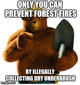 Smokey Bear | ONLY YOU CAN PREVENT FOREST FIRES; BY ILLEGALLY COLLECTING DRY UNDERBRUSH | image tagged in smokey bear | made w/ Imgflip meme maker