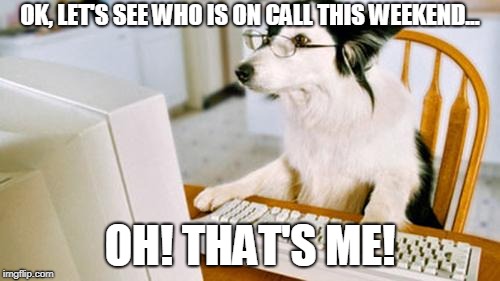 Dog computer | OK, LET'S SEE WHO IS ON CALL THIS WEEKEND... OH! THAT'S ME! | image tagged in dog computer | made w/ Imgflip meme maker