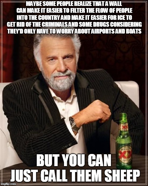 The Most Interesting Man In The World Meme | MAYBE SOME PEOPLE REALIZE THAT A WALL CAN MAKE IT EASIER TO FILTER THE FLOW OF PEOPLE INTO THE COUNTRY AND MAKE IT EASIER FOR ICE TO GET RID | image tagged in memes,the most interesting man in the world | made w/ Imgflip meme maker