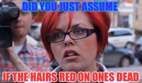 Angry Feminist | IF THE HAIRS RED ON ONES DEAD DID YOU JUST ASSUME | image tagged in angry feminist | made w/ Imgflip meme maker