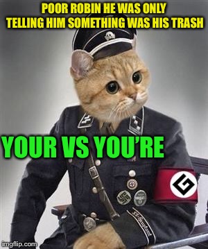 Grammar Nazi Cat | POOR ROBIN HE WAS ONLY TELLING HIM SOMETHING WAS HIS TRASH YOUR VS YOU’RE | image tagged in grammar nazi cat | made w/ Imgflip meme maker