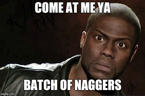 Kevin Hart | COME AT ME YA; BATCH OF NAGGERS | image tagged in memes,kevin hart | made w/ Imgflip meme maker