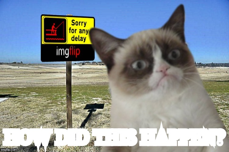 Grumpy Cat imgflip | HOW DID THIS HAPPEN? | image tagged in grumpy cat imgflip | made w/ Imgflip meme maker