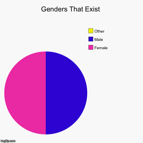 Genders That Exist | Female, Male, Other | image tagged in pie charts,politics | made w/ Imgflip chart maker