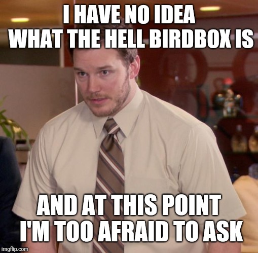 Afraid To Ask Andy | I HAVE NO IDEA WHAT THE HELL BIRDBOX IS; AND AT THIS POINT I'M TOO AFRAID TO ASK | image tagged in memes,afraid to ask andy | made w/ Imgflip meme maker