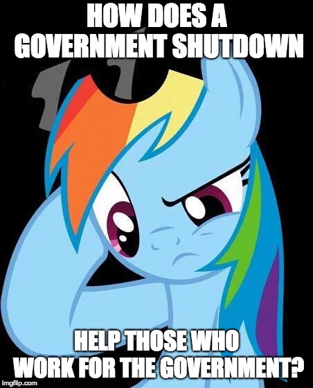 My uncle is in the military and works a government data processing center. So he's stuck! | HOW DOES A GOVERNMENT SHUTDOWN; HELP THOSE WHO WORK FOR THE GOVERNMENT? | image tagged in confused rainbow dash,memes,government shutdown,politics | made w/ Imgflip meme maker