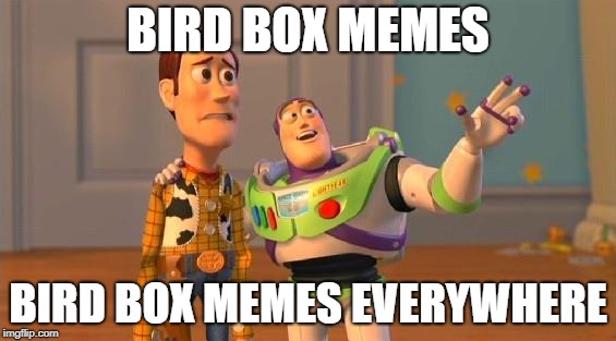 TOYSTORY EVERYWHERE |  BIRD BOX MEMES; BIRD BOX MEMES EVERYWHERE | image tagged in toystory everywhere | made w/ Imgflip meme maker