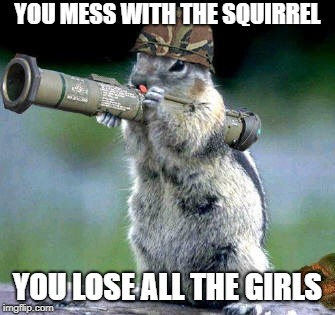 Bazooka Squirrel Meme | YOU MESS WITH THE SQUIRREL; YOU LOSE ALL THE GIRLS | image tagged in memes,bazooka squirrel | made w/ Imgflip meme maker