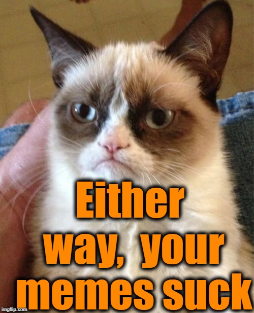 Grumpy Cat Meme | Either way,  your memes suck | image tagged in memes,grumpy cat | made w/ Imgflip meme maker
