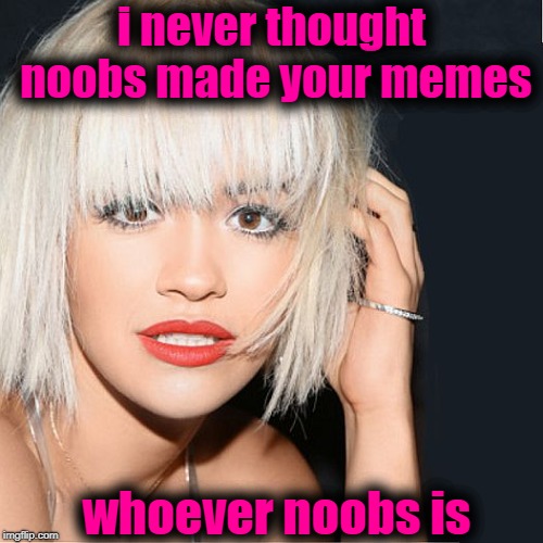 ditz | i never thought noobs made your memes whoever noobs is | image tagged in ditz | made w/ Imgflip meme maker