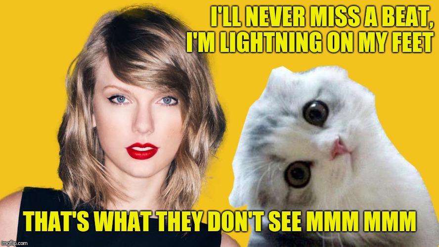 I'LL NEVER MISS A BEAT, I'M LIGHTNING ON MY FEET THAT'S WHAT THEY DON'T SEE MMM MMM | made w/ Imgflip meme maker