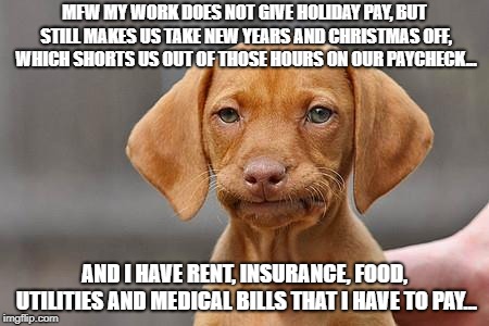 Dissapointed puppy | MFW MY WORK DOES NOT GIVE HOLIDAY PAY, BUT STILL MAKES US TAKE NEW YEARS AND CHRISTMAS OFF, WHICH SHORTS US OUT OF THOSE HOURS ON OUR PAYCHECK... AND I HAVE RENT, INSURANCE, FOOD, UTILITIES AND MEDICAL BILLS THAT I HAVE TO PAY... | image tagged in dissapointed puppy | made w/ Imgflip meme maker