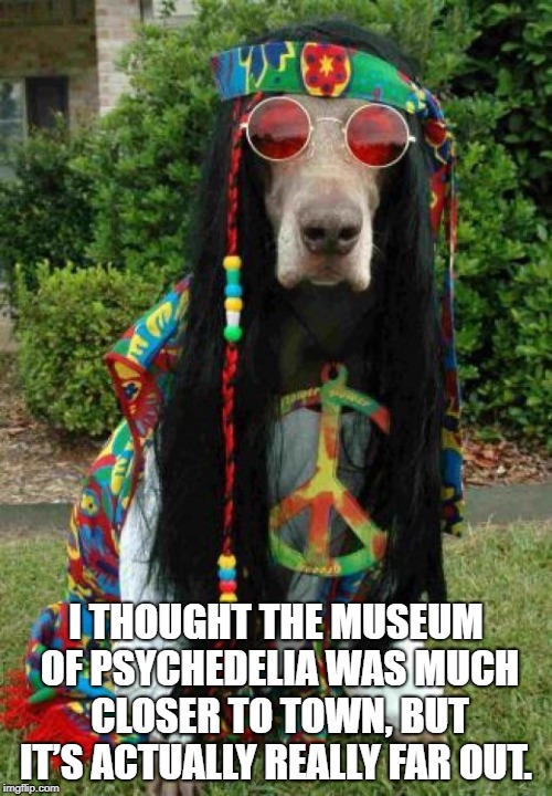 Hippie dog  | I THOUGHT THE MUSEUM OF PSYCHEDELIA WAS MUCH CLOSER TO TOWN, BUT IT’S ACTUALLY REALLY FAR OUT. | image tagged in hippie dog | made w/ Imgflip meme maker