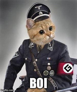 Grammar Nazi Cat | BOI | image tagged in grammar nazi cat | made w/ Imgflip meme maker