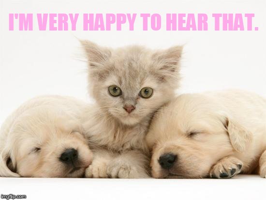 I'M VERY HAPPY TO HEAR THAT. | made w/ Imgflip meme maker