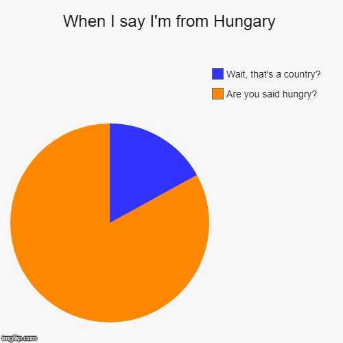 When I say I'm from Hungary | Are you said hungry?, Wait, that's a country? | image tagged in funny,pie charts | made w/ Imgflip chart maker