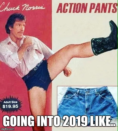 Going into 2019 like | GOING INTO 2019 LIKE.. | image tagged in chuck norris | made w/ Imgflip meme maker