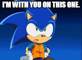 Sonic Played Baseball?! | I'M WITH YOU ON THIS ONE. | image tagged in memes,sonic,baseball,sonic x | made w/ Imgflip meme maker