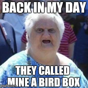 WAT Lady | BACK IN MY DAY THEY CALLED MINE A BIRD BOX | image tagged in wat lady | made w/ Imgflip meme maker