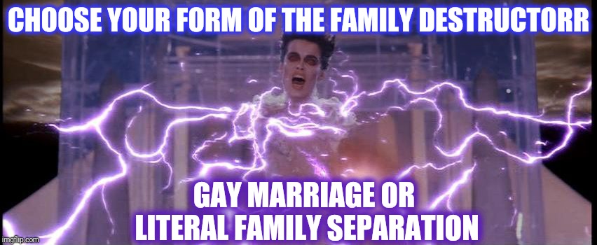 CHOOSE YOUR FORM OF THE FAMILY DESTRUCTORR GAY MARRIAGE OR LITERAL FAMILY SEPARATION | made w/ Imgflip meme maker