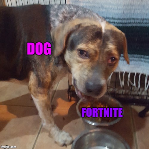 Dog eats Fortnite | DOG; FORTNITE | image tagged in no fortnite,fortnite,dogs | made w/ Imgflip meme maker