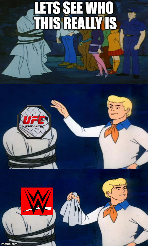 Scooby Doo The Ghost | LETS SEE WHO THIS REALLY IS | image tagged in scooby doo the ghost,ufc,mma | made w/ Imgflip meme maker