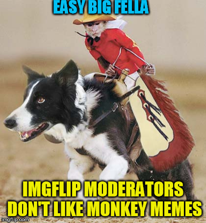 Especially if they're funny. | EASY BIG FELLA; IMGFLIP MODERATORS DON'T LIKE MONKEY MEMES | image tagged in monkey business | made w/ Imgflip meme maker