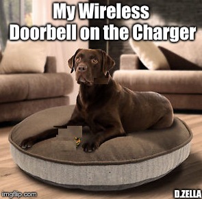 My Wireless Doorbell | My Wireless Doorbell on the Charger; D.ZELLA | image tagged in charger,bell,dog,puppy,home | made w/ Imgflip meme maker
