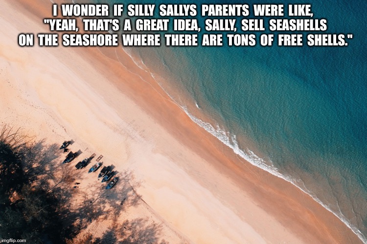 I  WONDER  IF  SILLY  SALLYS  PARENTS  WERE  LIKE,  "YEAH,  THAT'S  A  GREAT  IDEA,  SALLY,  SELL  SEASHELLS  ON  THE  SEASHORE  WHERE  THERE  ARE  TONS  OF  FREE  SHELLS." | image tagged in aerial-photo-of-seashore-with-calm-sea | made w/ Imgflip meme maker