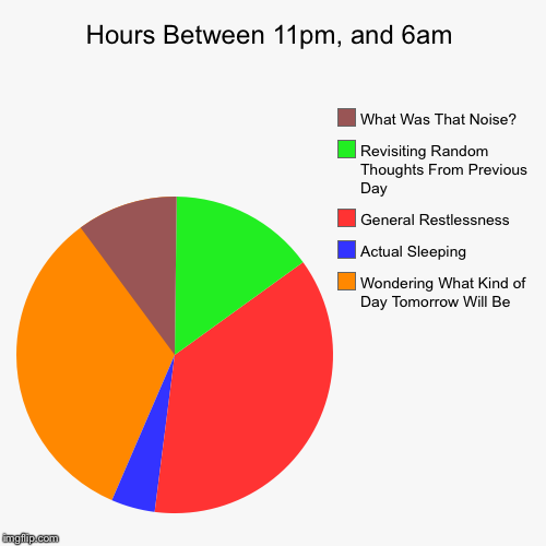 Hours Between 11pm, and 6am | Wondering What Kind of Day Tomorrow Will Be, Actual Sleeping, General Restlessness , Revisiting Random Thought | image tagged in funny,pie charts | made w/ Imgflip chart maker