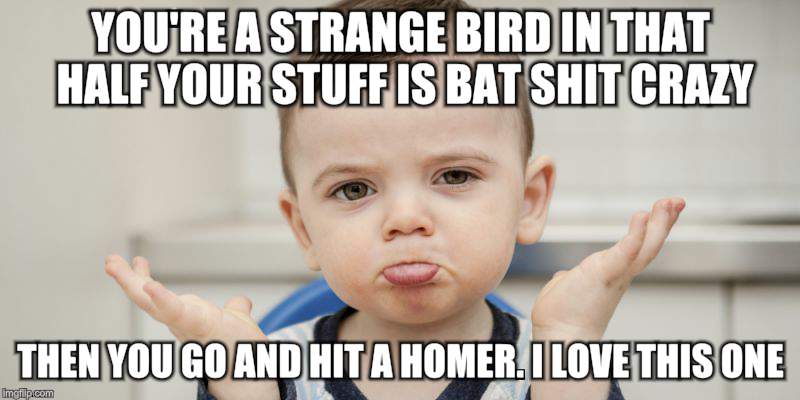YOU'RE A STRANGE BIRD IN THAT HALF YOUR STUFF IS BAT SHIT CRAZY THEN YOU GO AND HIT A HOMER. I LOVE THIS ONE | made w/ Imgflip meme maker