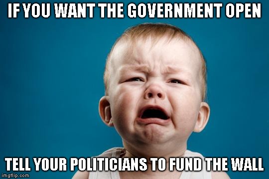 CRYING BABY | IF YOU WANT THE GOVERNMENT OPEN TELL YOUR POLITICIANS TO FUND THE WALL | image tagged in crying baby | made w/ Imgflip meme maker