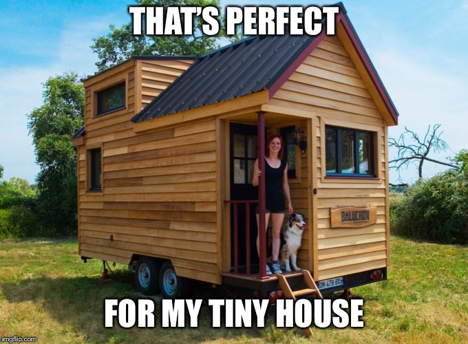 Tiny House Hunters | THAT’S PERFECT FOR MY TINY HOUSE | image tagged in tiny house hunters | made w/ Imgflip meme maker