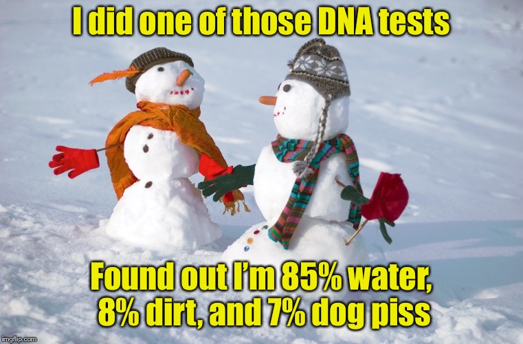 Sometimes you’d rather not no your ancestry  |  I did one of those DNA tests; Found out I’m 85% water, 8% dirt, and 7% dog piss | image tagged in snowmen,memes,dog,pee,dna | made w/ Imgflip meme maker